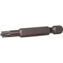 C.K. Plus/minus-Bit 2 Chrome-Vanadium Steel E 6.3 2 pc(s) (T4545 2)