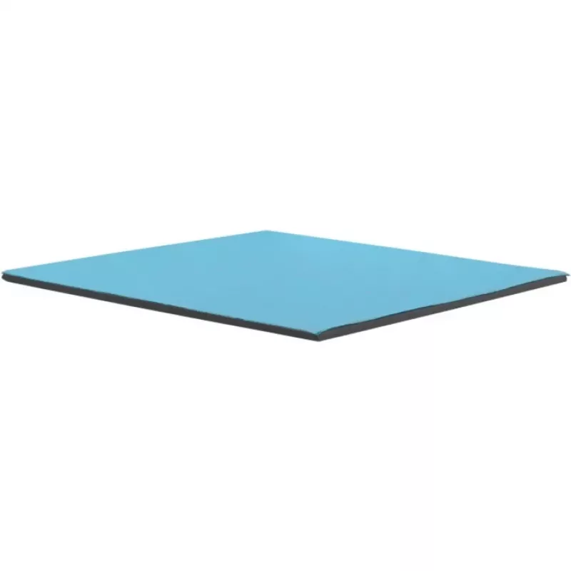 Thermal Grizzly Minus Pad Pro - 100 x 100 x 0.5 mm