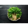 Sugar Parsley Toraf Vegetable Seeds, 5g Pack