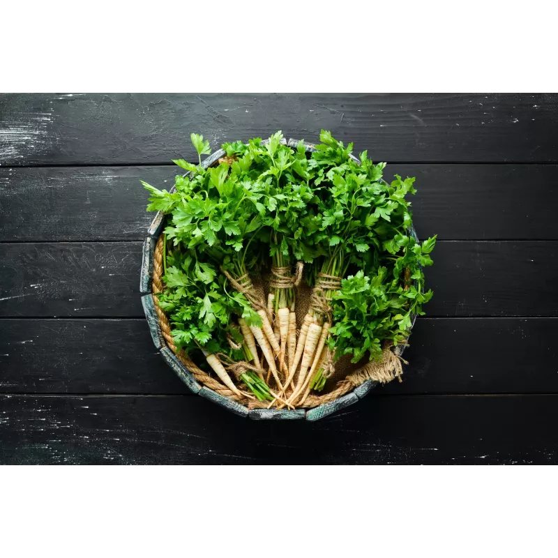 Sugar Parsley Toraf Vegetable Seeds, 5g Pack