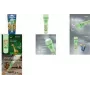 Hand flashlight Varta Kids Flashlight Light Green ABS PC 70h battery life