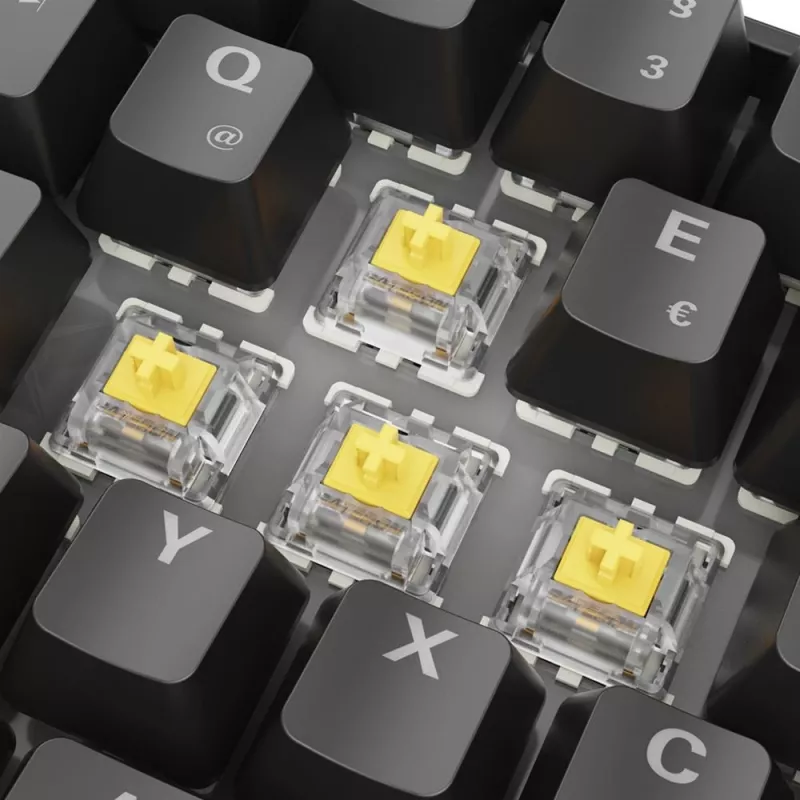 Sharkoon 100065629 keyboard Home USB QWERTZ German Black