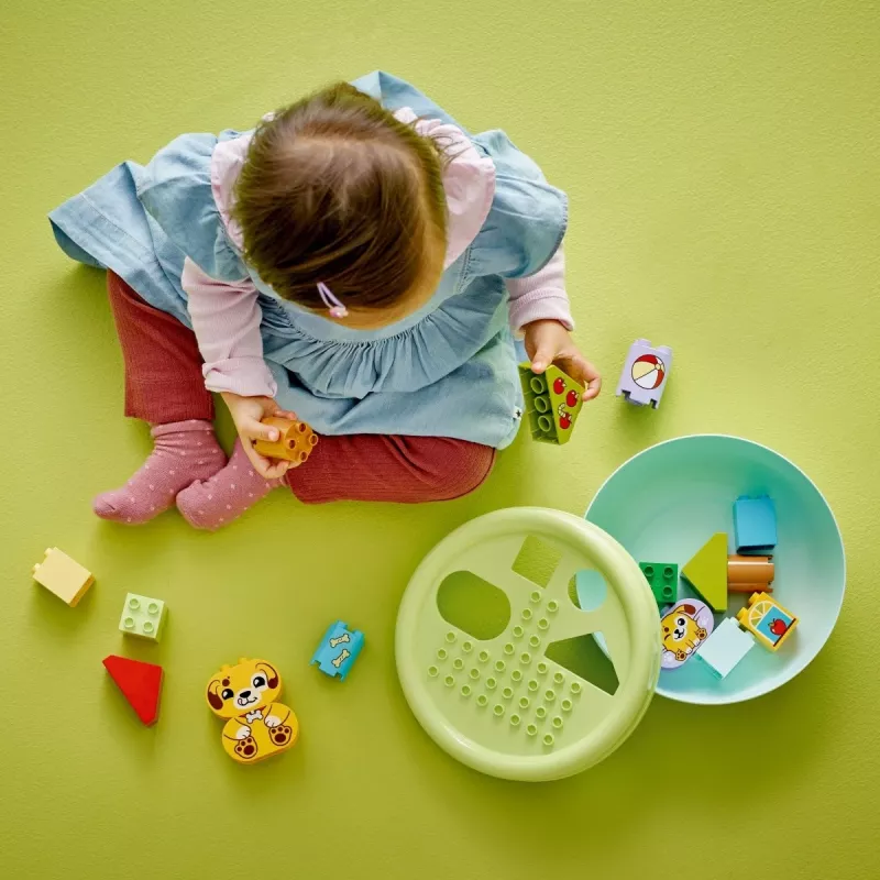 Construction toy LEGO DUPLO Shape Sorter Puppy House 10441, 17 pieces, for ages 1½–5 years