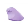 NATEC Crake 2 mouse Universal Right-hand RF Wireless + Bluetooth Optical 2400 DPI