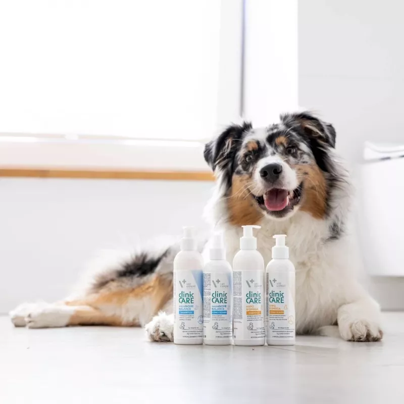 Conditioner VETEXPERT Clinic Care Balance 150 ml — veterinary coat conditioner for dogs and cats, 150 ml