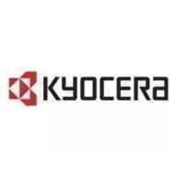 Kyocera IB-38 - Print Server - USB - for TASKalfa 2554Ci