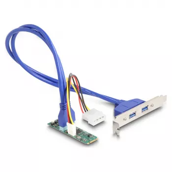 DeLOCK interface cards/adapter 61065 Internal USB 3.2 Gen 1 M.2 Male