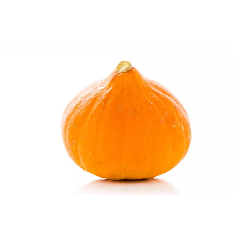 Uchiki Kuri Pumpkin Toraf Vegetable Seeds, 5g Pack
