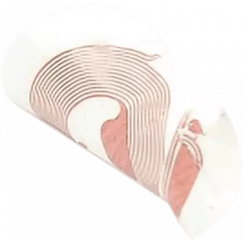 NFC sticker SCOT NTAG213 18 mm white, RFID tag, pack of 10