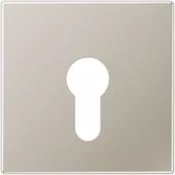 Jung Cover Plate eds for Key Switch ES 2925 (ES2925)