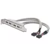 Slot Bracket Cable USB 2.0 HighSpeed Type 2xIDC (5pin)/4xUSB A M/F Grey 0.25m