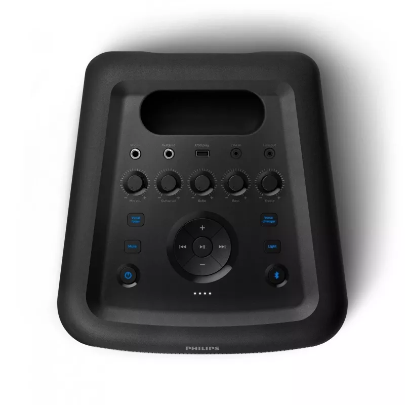 Speaker TAX3206/10, 10W