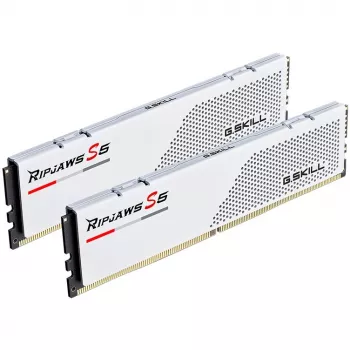 G.Skill F5-6000J3036F24GX2-RS5W memory module 48 GB 2 x 24 GB DDR5 5600 MT/s