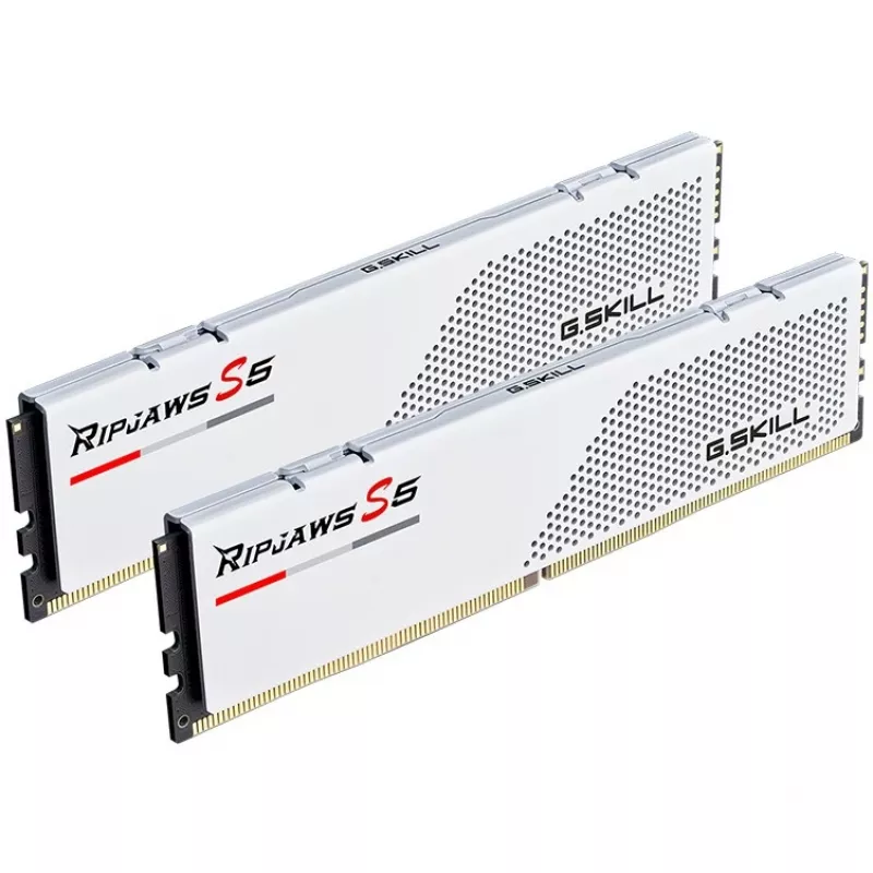 G.Skill F5-6000J3036F24GX2-RS5W memory module 48 GB 2 x 24 GB DDR5 5600 MT/s