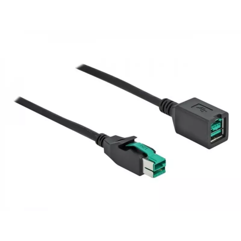 Powered USB extension cable DeLOCK 85980 12 V 1 m