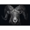 Ashley Rader: Dominance - Widder, Im Zeichen des Feuers, Puzzle 1000 Pieces