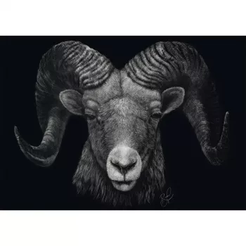 Ashley Rader: Dominance - Widder, Im Zeichen des Feuers, Puzzle 1000 Pieces