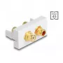DeLOCK Easy 45 socket-outlet 2 x RCA White ABS