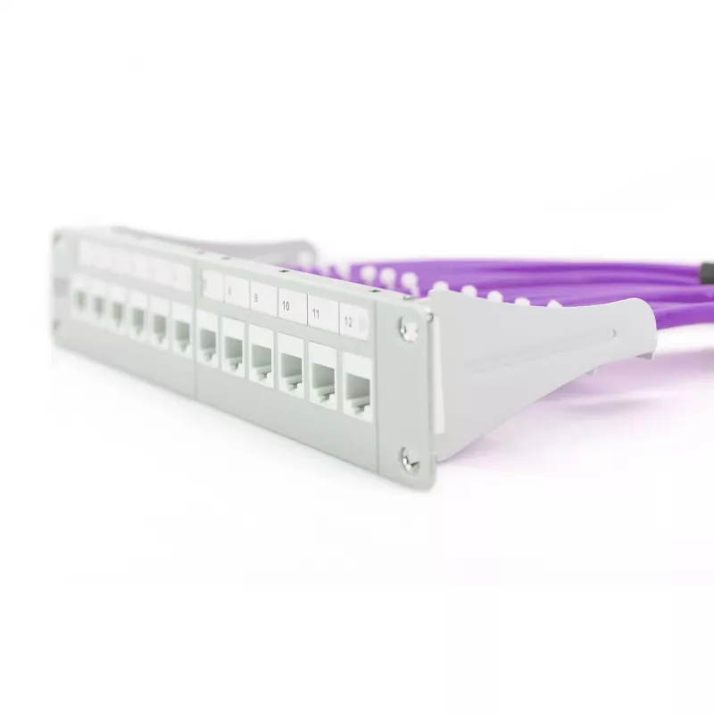 Network Cable Digitus Cat.6 U/UTP 305m Violet