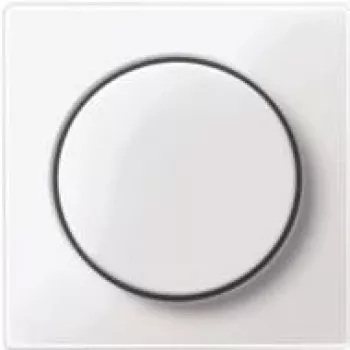 MERTEN Zentralplatte MEG5250-0319 Thermoplast polar-ws mit Drehknopf MEG52 MEG5250-0319 (MEG5250-0319)