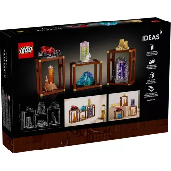 Construction set LEGO Ideas model 21362, 880 pieces, recommended age 18+