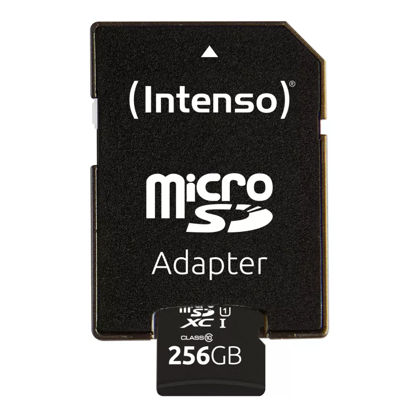 Flash Memory Intenso 256GB UHS-I microSD Performance Class 10