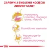 Dry cat food Royal Canin Maine Coon Kitten 400 g — poultry, 36% protein, 23% fat
