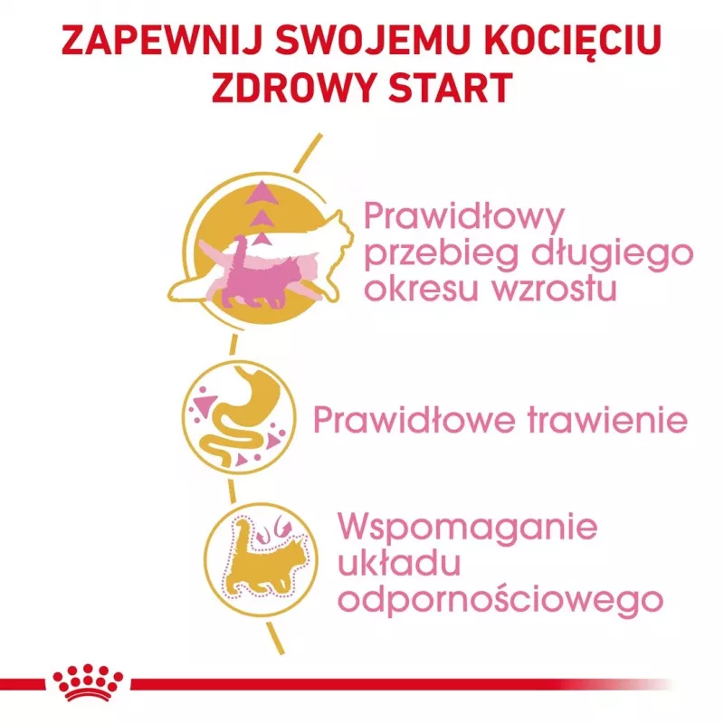 Dry cat food Royal Canin Maine Coon Kitten 400 g — poultry, 36% protein, 23% fat