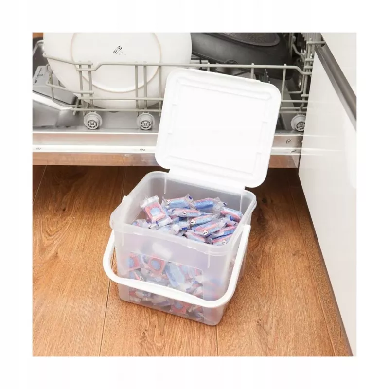 Container for cleaning liquids Rotho Basic 4.5 L model 1770201100RP, transparent technopolymer with lid and hanger hole