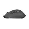 Wireless mouse NATEC KITE NMY-2347, up to 4000 DPI, silent clicks, tilt scroll wheel, black