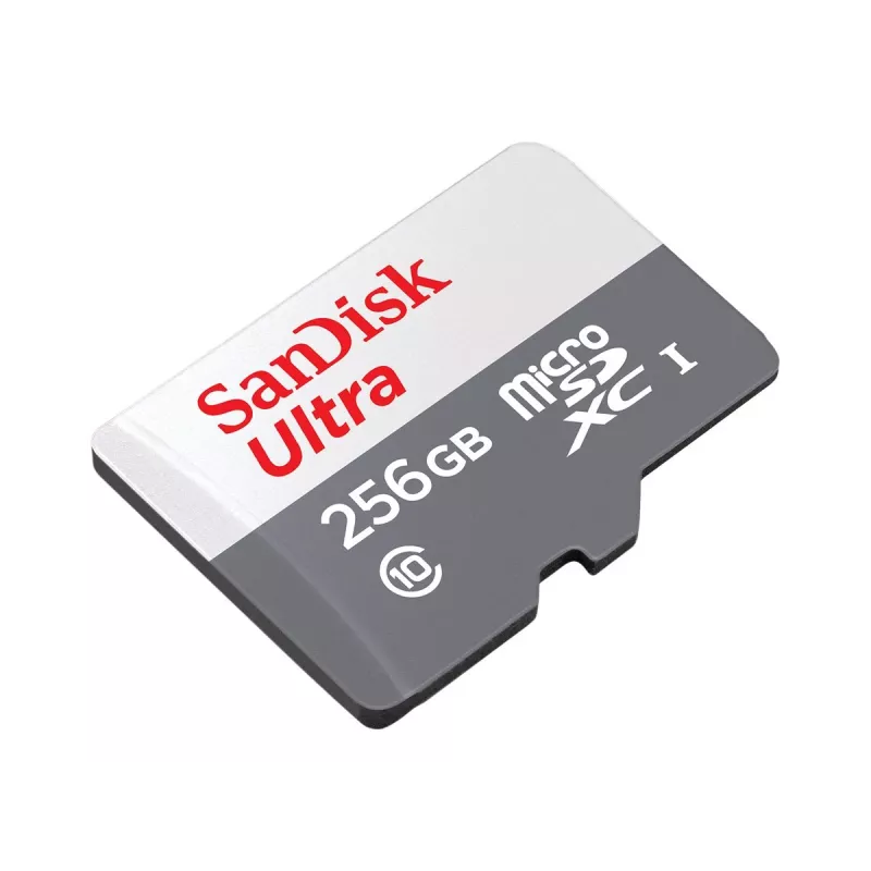 Flash memory SanDisk 256 GB MicroSDXC UHS-I SDSQUNR-256G-GN6TA