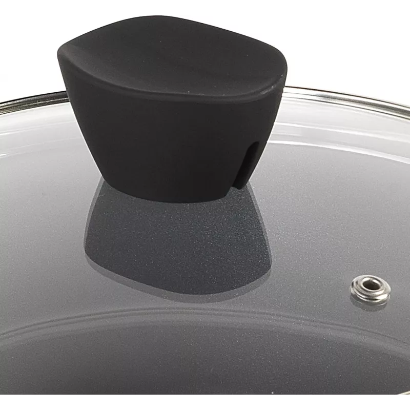 Stockpot Russell Hobbs RH01712EU 20 cm Pearlised – stainless steel cooking pot