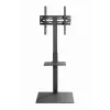Floor TV stand GEMBIRD TVS-55T-02 for 32–55 inch TVs, steel, height 600 mm, VESA 100x100–400x400, max load 35 kg