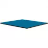 Thermal Grizzly Minus Pad Advance - 100 x 100 x 1.0 mm, 2 pieces