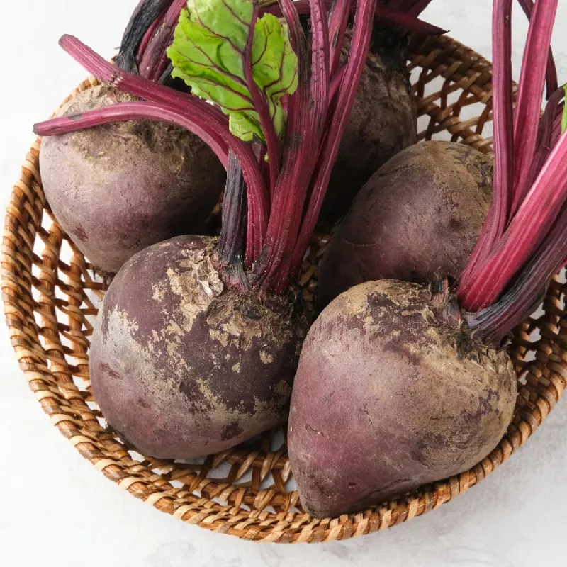 Seed Beetroot Apte Opolski — 100 seeds, high-yield table beet variety