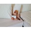 carbon monoxide and carbon monoxide detector K10LLCO Kidde