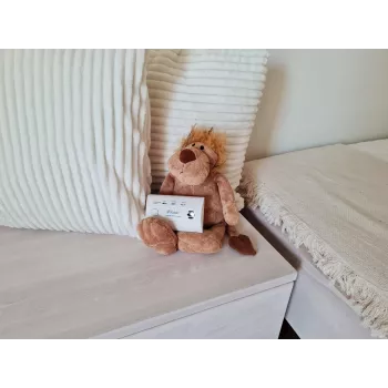 carbon monoxide and carbon monoxide detector K10LLCO Kidde
