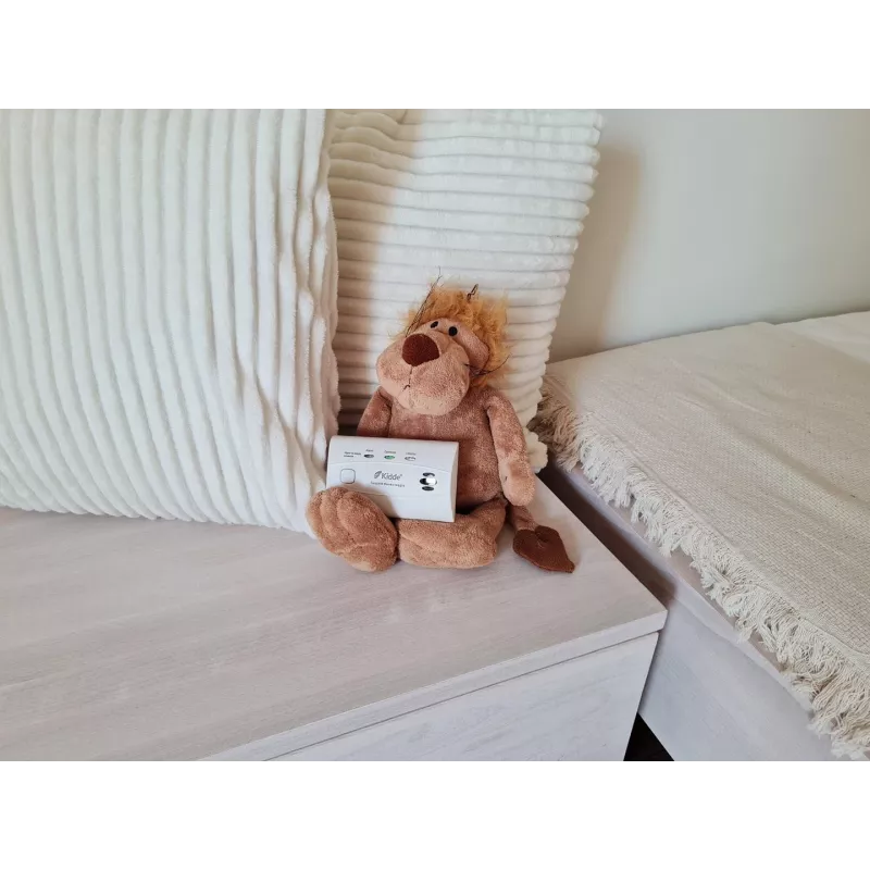 carbon monoxide and carbon monoxide detector K10LLCO Kidde
