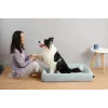 PETKIT | Deep Sleep All Season Pet Bed L | Green