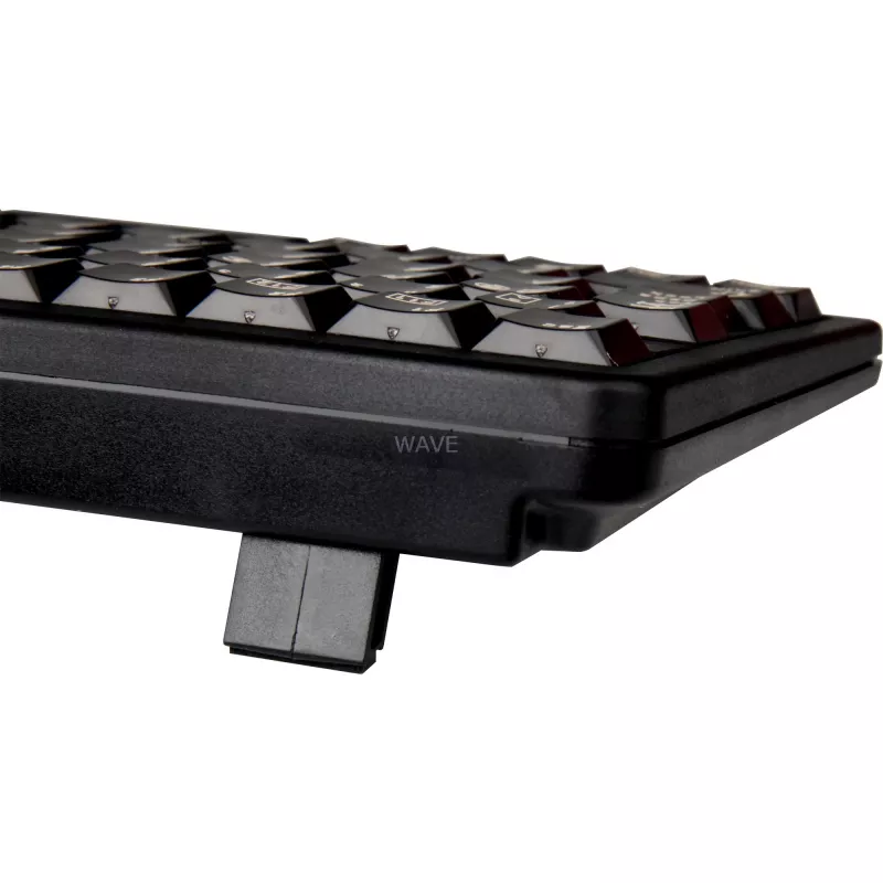 CHERRY G84-4100 keyboard Universal USB QWERTZ German Black