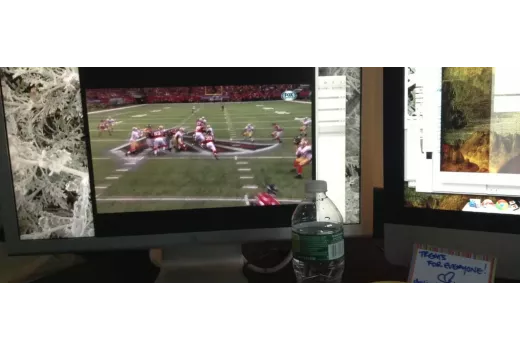 How to Choose a Gaming Monitor: Refresh Rate, Resolution and Panel Type