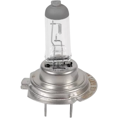 Halogen Bulbs