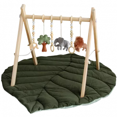 Baby Toys & Activity Equipment