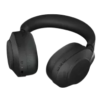 Headphones & Headsets