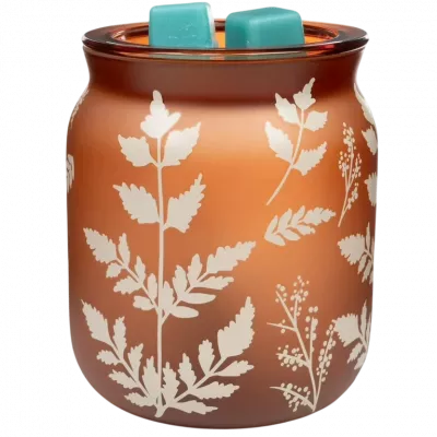 Wax Melts & Warmers
