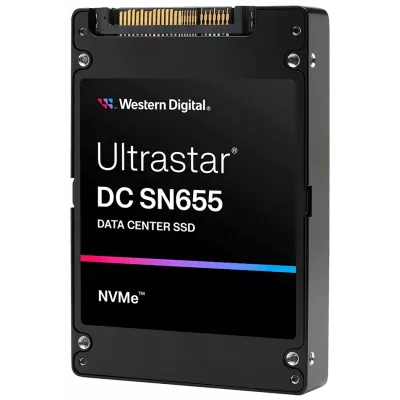 Enterprise Solid State Drives SSD