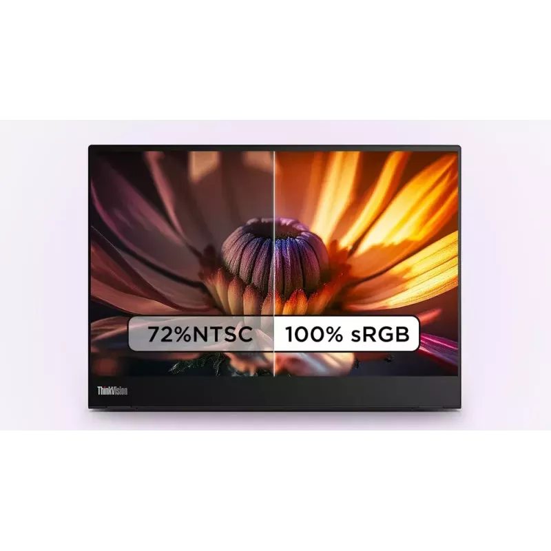 Monitor Lenovo ThinkVision M14t 14 inch Touchscreen LED 2240 x 1400