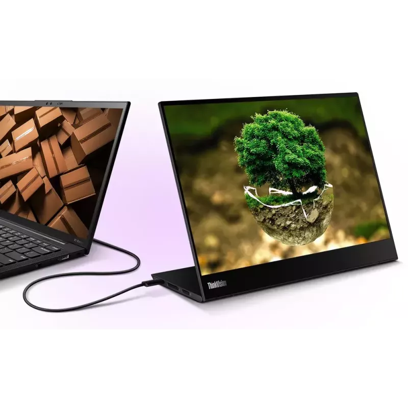 Monitor Lenovo ThinkVision M14t 14 inch Touchscreen LED 2240 x 1400