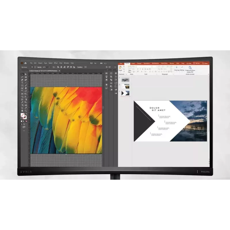 Philips Evnia 34M2C6500/00 computer monitor 86.4 cm (34 inch) 3440 x 1440 pixels Wide Quad HD QD-OLED Grey