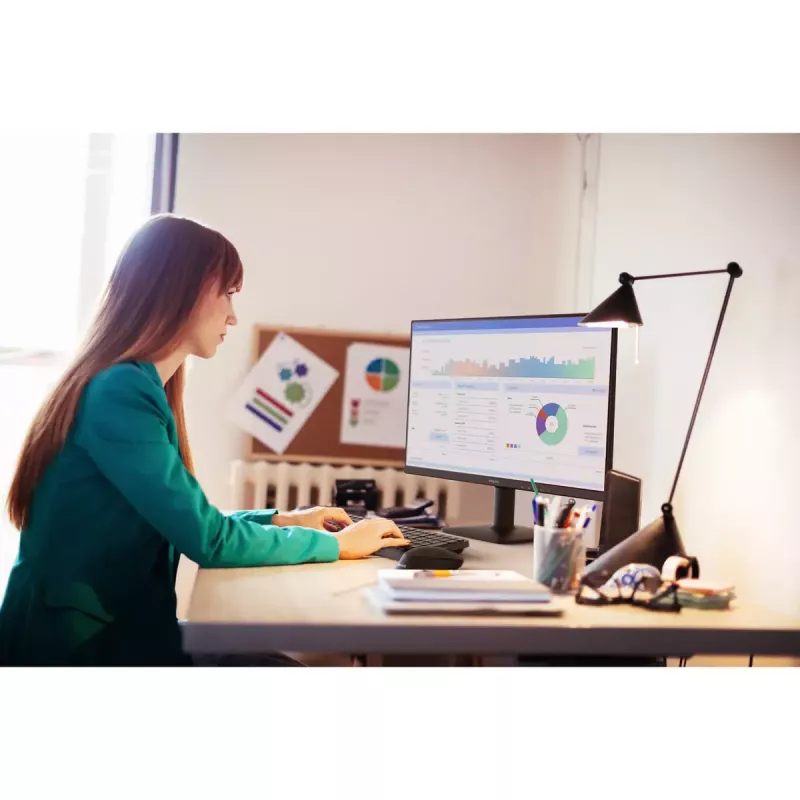 Philips 24E2N1100LB/00 23.8 inch LCD monitor — 23.8 inch Full HD (1920×1080), VA panel, 100 Hz, 4 ms, 250 cd/m², VESA mount, HDMI & VGA, black